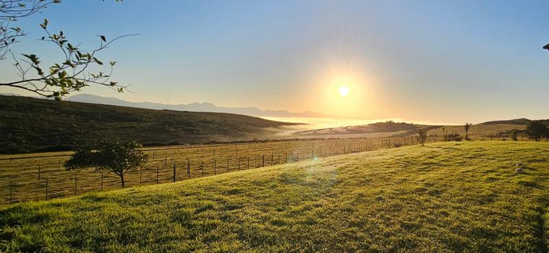 4 Bedroom Property for Sale in Mossel Bay Rural Western Cape